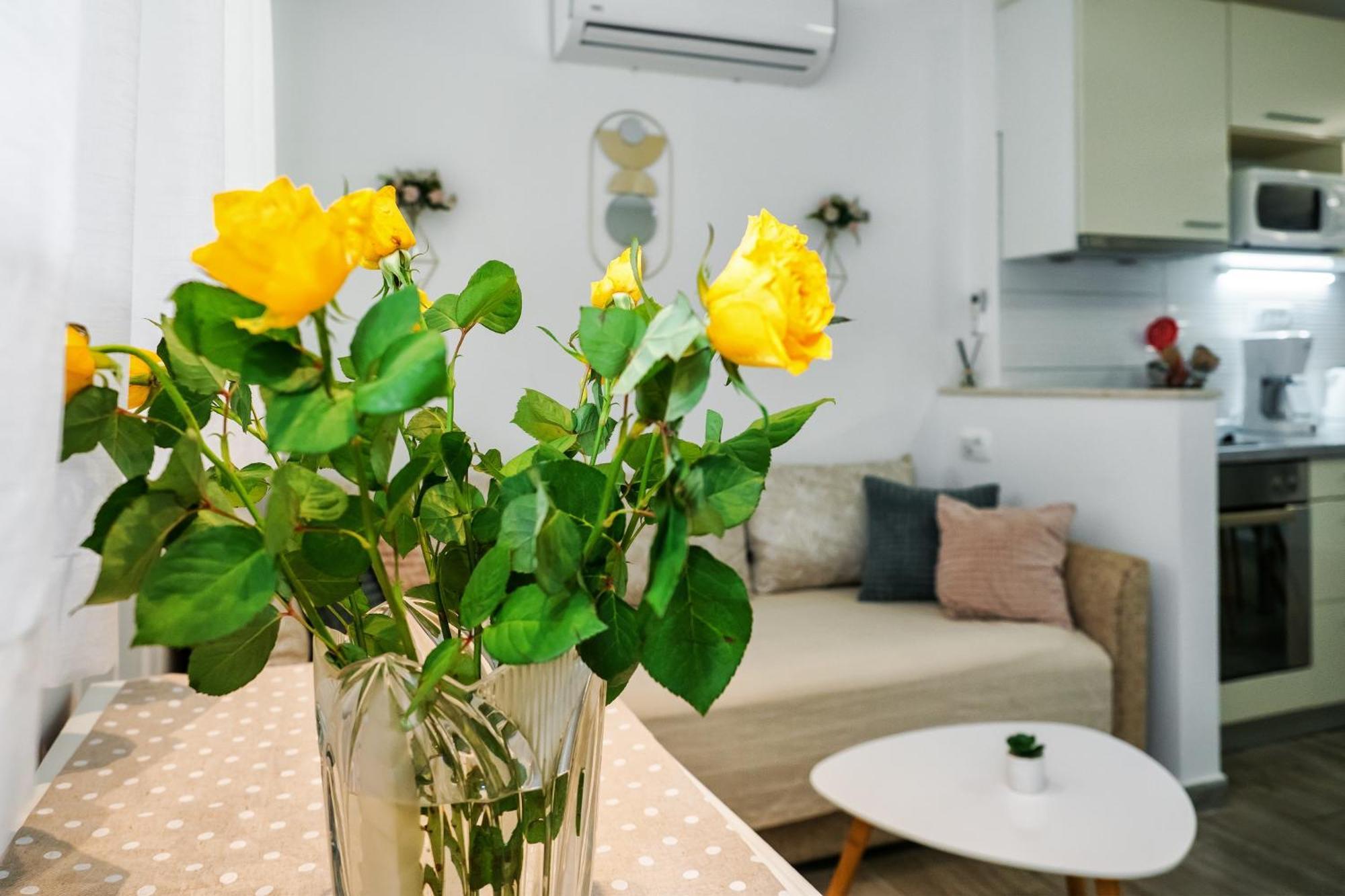 Green Oasis Сплит Экстерьер фото